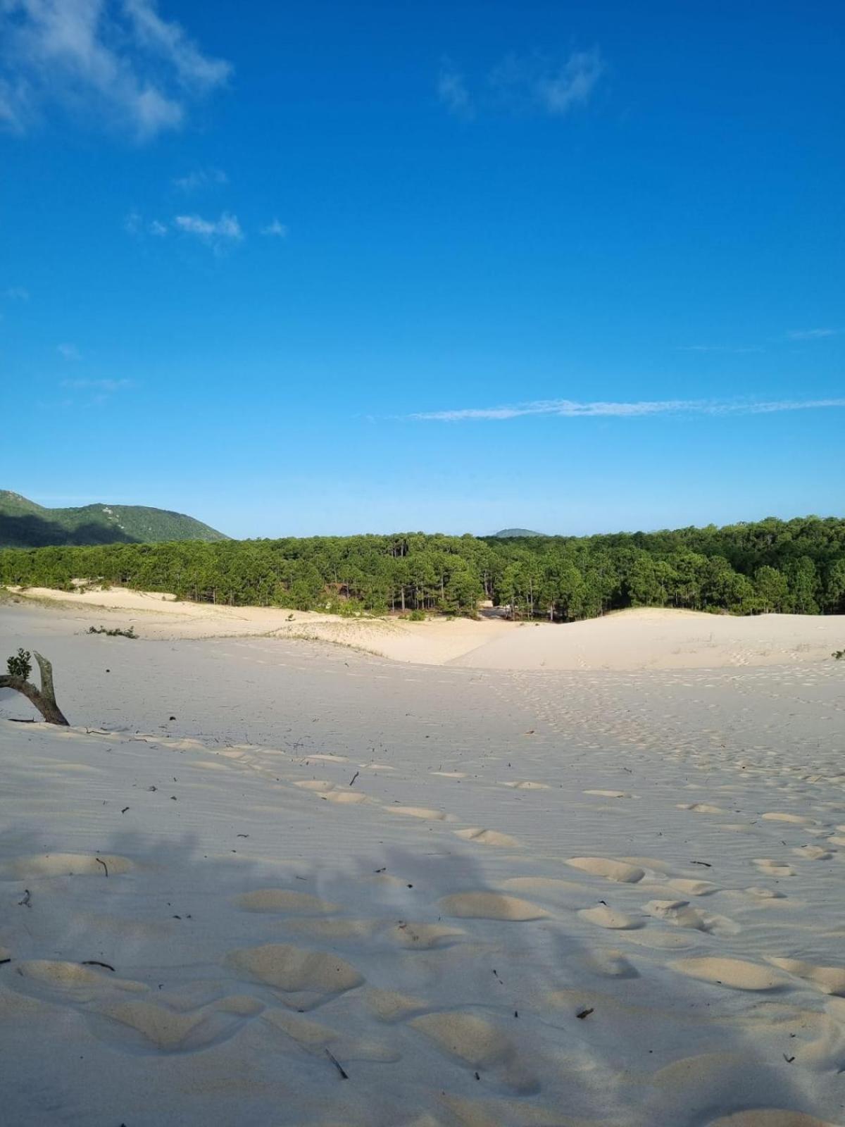 Ilha Da Mata * Florianópolis